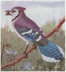 This counted cross stitch of a blue jay was created from an antique print. Blue Jay Cross Stitch Pattern Advanced Stitching