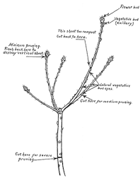 See full list on wikihow.com Bayweekly Com