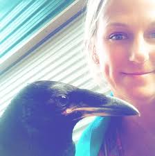 How much was it to spay your pig?