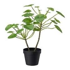Artificial Plants Flowers Artificial Plants Outdoor Small Artificial Plants Artificial Potted Plants