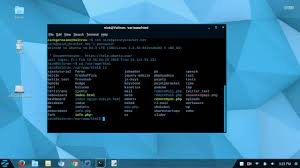 This will connect to the server via ssh with the username user and the default ssh port 22. Using Ssh To Access The Command Line Of A Remote Host 12 14 Youtube