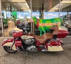 My Indian Roadmaster Seems To Have A Faible For Nice Friendly Foreign Cows Nice Friendly Lovely C Indian Road Indian Motorcycle Classic Harley Davidson