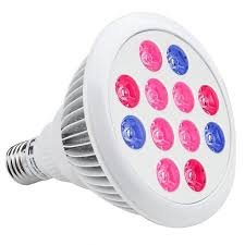 We did not find results for: Le 12w Par38 Coloured Bulbs Red Blue