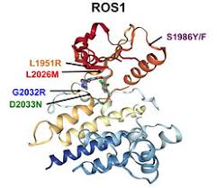 Image result for ROS1 Inhibitor