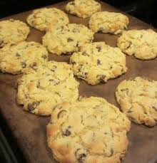 Coconut Flour Chocolate Chip Cookies S Trim Healthy Mama Paleo Scd Gluten Fr Trim Healthy Mama Dessert Coconut Flour Chocolate Chip Cookies Paleo Cookies