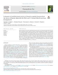 Image result for Ixora brachypoda