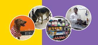 Great for both out patient and in patient facilities. Eden Pets Care Pet Clinic In Mogappair Chennai
