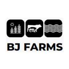 A small festival that continues to break the rules. Bj Farms On Twitter This Is How Kayode Plans To Fund This Dream Wedding And Take Care Of His Family Farmbusiness Madeinnigeria Farm Naija Nigeria Investinnigeria Businessinnigeria Agriculture Https T Co Uogkxvt4yk