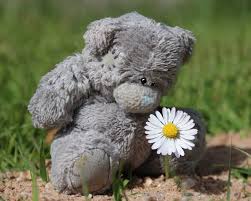 We think this charming colouring card is suitable for any occasion! Teddy Flower Bear Free Photo On Pixabay