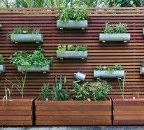 Pin By Christina Lauer On Projekty Do Wyprobowania In 2020 Vertical Garden Vertical Vegetable Garden Vertical Garden Wall