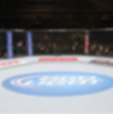 Tristen critchfield two lightweight veterans will lock horn on short notice at ufc 258 when jim miller meets bobby green. Ufc 258 Usman Vs Burns Fight Results Ufc