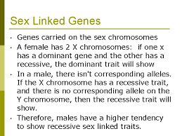 For males, the recessive gene will be active even if it's only on the x chromosome, and at the same time, if the male's recessive trait isn't a fatal one, then he will also pass it on to a. Modern Genetics Human Inheritance Some Traits Are Formed