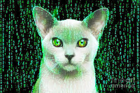 Wingsdomain Art and Photography Cats Wall Art