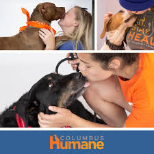 Maybe you would like to learn more about one of these? Columbus Humane Columbushumane Twitter