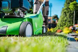 Because these machines are expensive and dethatching is necessary infrequently, it rarely makes sense to buy one. Dethatching And Aeration For Your Lawn Crewcut Lawn Garden