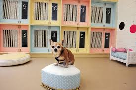 We did not find results for: People Photos Dog Hotel Pet Hotel Pet Daycare