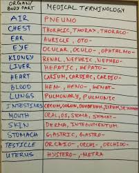 Pin By Rakel Pinkston On Vet Tech Info Medical Terminology Study Nursing School Tips Medical Terminology