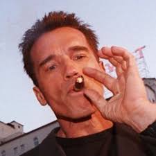 Evan Nadeau🦁 (@EvanNadeau1901)