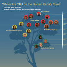 Unlike other family tree builders you need to pay a monthly membership for, our family tree builder is 100% free. Human Origins Traveling Exhibition Family Tree Smithsonian Institution
