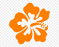Luau Hawaiian Flower Clip Art Tropical Plants Vector Clip Art Hibiscus Flower Png Transparent Png 582x597 677776 Pngfind Choose from 370+ hibiscus flower graphic resources and download in the form of png, eps, ai or psd. luau hawaiian flower clip art tropical