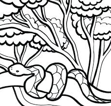 The book has pages on the lion, zebra, ostrich, rhino, elephant. Amazon Rainforest Drawings For Kids Novocom Top