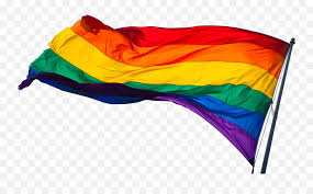 All our images are transparent and free for personal use. Gay Pride Flag Png Transparent Lgbt Flag Background Desktop Free Transparent Png Images Pngaaa Com