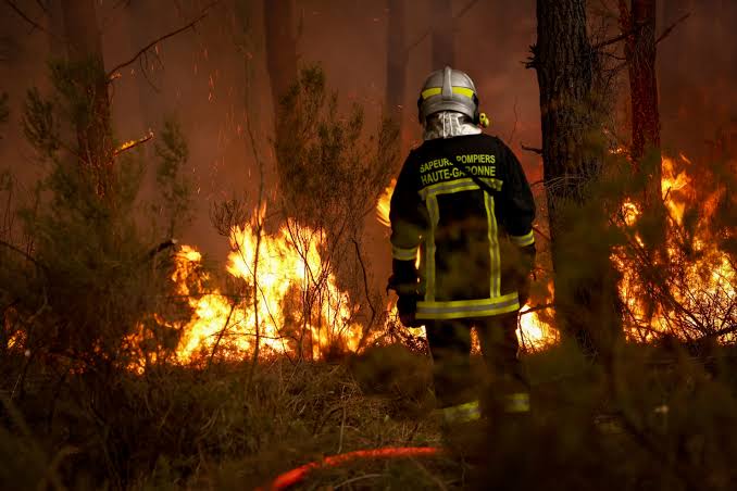 Heat, Drought, Wildfires: Climate Change Supercharges Disasters in Europe - Inside Climate News