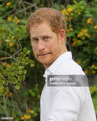 492 Harry Johns Stock Photos, High-Res Pictures, and Images