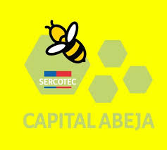 Es un fondo para ideas de negocio o proyectos liderados por mujeres. Sercotec Chile Atencion Emprendedoras Les Tenemos Una Facebook