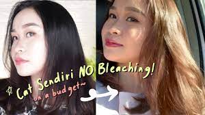 Check spelling or type a new query. Cat Rambut Coklat Ke Emasan Sendiri Tanpa Bleaching Murah Gampang Youtube