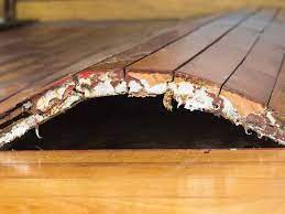 But before you begin, it's important to understand that moisture measurement and management is crucial to both the concrete slab and also the hardwood flooring. Getting It Right Wood Flooring Over A Concrete Subfloor Page 2 Of 3 Construction Specifier