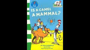 From fruit eating bats to smart chimpanzees, from moles in their holes to seals in the seas, dr. Reading Cat In The Hat S Learning Library Is A Camel A Mammal Book Children Story Time Youtube