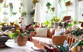 The Best Conservatory Plants for Your Indoor Oasis