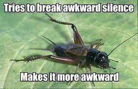 Crickets Imgur