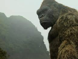 SDG Reviews 'Kong: Skull Island'| National Catholic Register