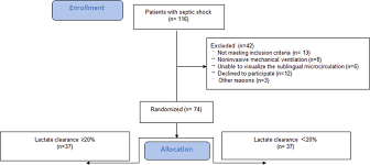 the flowchart of this study on septic shock patients