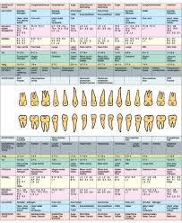 Was Zahne Uber Den Korper Aussagen Jurgen Melzener