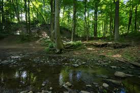 Find the perfect watchung reservation stock photos and editorial news pictures from getty images. Hiking Historic Trail Of Watchung Reservation In Watchung Reservation New Jersey