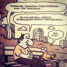 1 488 Begenme 37 Yorum Instagram Da Cem Arslan Hakikicemarslan Bazen Tanidiklari Taniyamazsin Insan Kus Kedi Bird C Comics Peanuts Comics Art