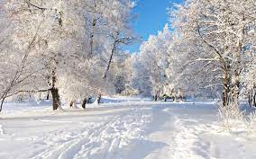 Free screensavers for desktop background. Winter Desktop Wallpapers Top Free Winter Desktop Backgrounds Wallpaperaccess