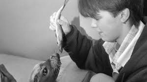 From ponies to seals: Animal rescues over the years