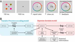 Usually, there is not a complete previous which can also be interpreted in two dierent ways: Humans Incorporate Trial To Trial Working Memory Uncertainty Into Rewarded Decisions Pnas