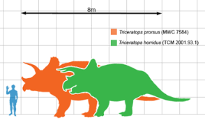 Dinosaur Size Wikipedia