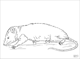 Explore and learn everything about moles, download mole wallpapers and mole coloring pages. Mole Rat Coloring Page For Adult Coloringbay