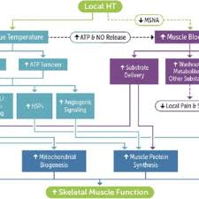 Image result for Local Heat Therapy