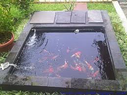 Di indonesia sendiri kolam ikan terapi sudah menjadi penarik obyek wisata seperti di kawasan wisata air dan tempat kuliner yang mengusung tema alam terbuka. Membuat Kolam Ikan Sendiri Di Rumah Akuarium Ikan Hias