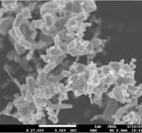 MSE PRO Zinc Oxide (ZnO) Nanoparticles, 30nm, 50nm, 90nm nano powders,  >99.9% Purity