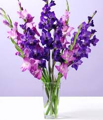 Purple Gladiolus In Vase Gladiolus Flower Gladiolus Arrangements Beautiful Flower Arrangements
