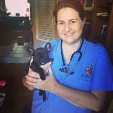 A devoted team believes in doing everything they can for your pet, from a variety of services to providing knowledge on how your pet can be its happiest and healthiest. Mission Hills Pet Care Center Veterinarian In Mission Viejo Ca Us Meet Our Team