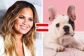 No single dog (or human) is alike! Which Small Dog Breed Matches Your Personality